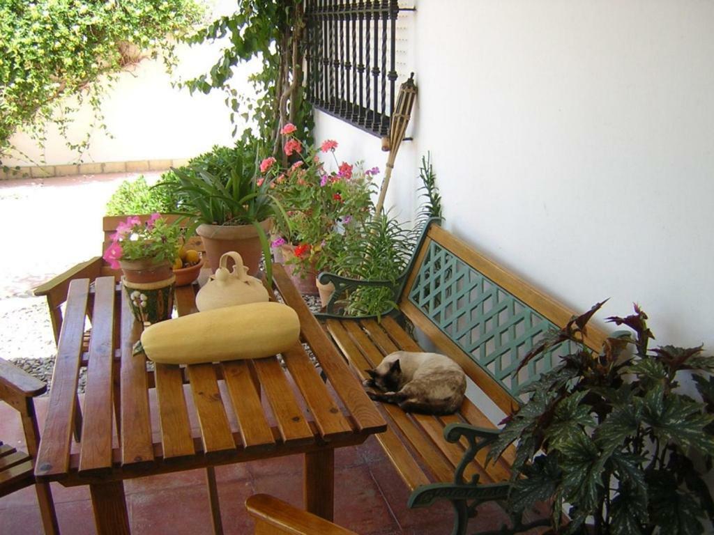 Bed and Breakfast Casa Algaida Sanlúcar de Barrameda Zewnętrze zdjęcie