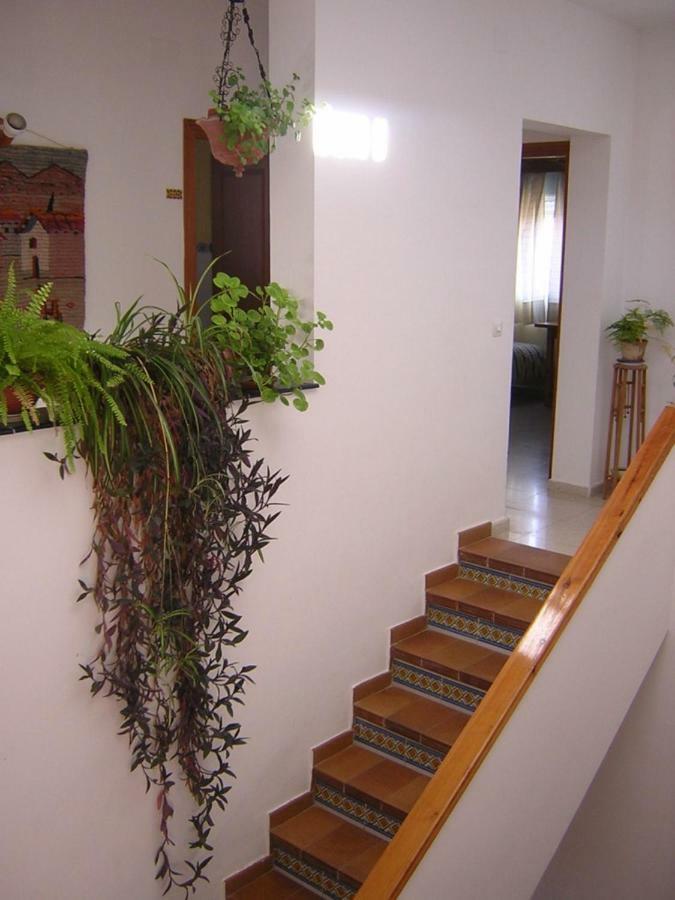 Bed and Breakfast Casa Algaida Sanlúcar de Barrameda Zewnętrze zdjęcie