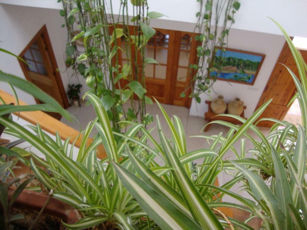 Bed and Breakfast Casa Algaida Sanlúcar de Barrameda Zewnętrze zdjęcie
